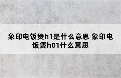 象印电饭煲h1是什么意思 象印电饭煲h01什么意思